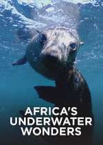 Watch Africa's Underwater Wonders Wootly