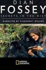 Watch Dian Fossey: Secrets in the Mist Wootly