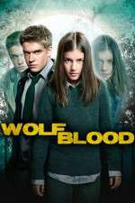 Watch Wolfblood Secrets Wootly