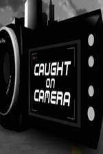 Watch Criminals Caught on Camera Wootly