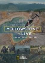 Watch Yellowstone Live Wootly