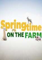 Watch Springtime on the Farm Wootly