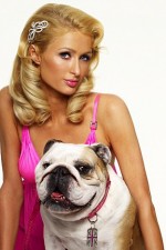 Watch Paris Hilton's British Best Friend Wootly