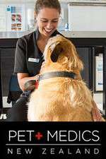 Watch Pet Medics Wootly