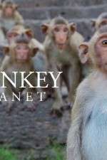 Watch Monkey Planet Wootly