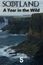 Watch Scotland: A Wild Year Wootly