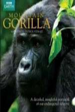 Watch Mountain Gorilla Wootly