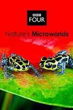 Watch Natures Microworlds Wootly