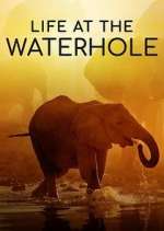 Watch Life at the Waterhole Wootly