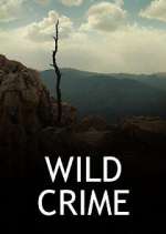 Watch Wild Crime Wootly