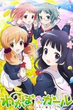 Watch Wakaba Girl Wootly