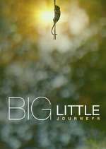 Watch Big Little Journeys Wootly