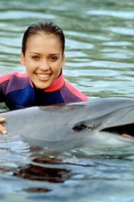 Watch Flipper (The New Adventures of Flipper) Wootly