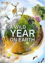 Watch A Wild Year on Earth Wootly
