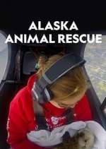 Watch Alaska Animal Rescue Wootly