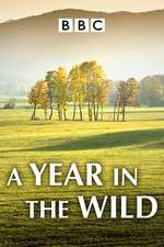 Watch A Year in the Wild Wootly