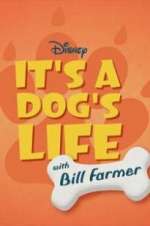 Watch It\'s a Dog\'s Life with Bill Farmer Wootly
