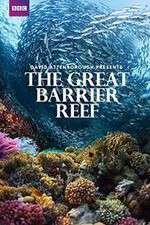 Watch Great Barrier Reef with David Attenborough Wootly