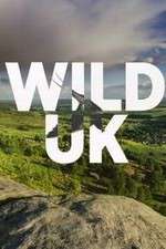 Watch Wild UK Wootly