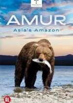 Watch Amur Asia's Amazon Wootly