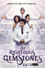 Watch The Righteous Gemstones Wootly