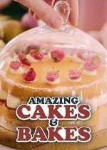 Watch Amazing Cakes & Bakes Wootly