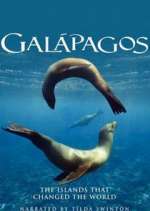 Watch Galapagos Wootly