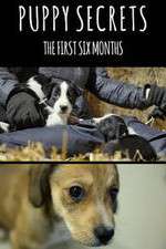Watch Puppy Secrets: The First Six Months Wootly