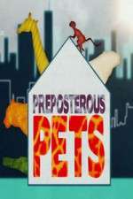 Watch Preposterous Pets Wootly