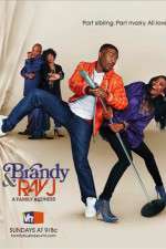 Watch Brandy and Ray J: A Family Business Wootly