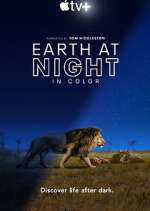 Watch Earth At Night In Color Wootly