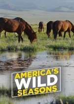 Watch America's Wild Seasons Wootly