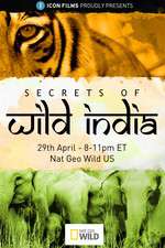 Watch Secrets of Wild India Wootly