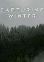 Watch Capturing Winter Wootly