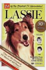 Watch Lassie Wootly