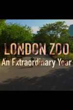 Watch London Zoo: An Extraordinary Year Wootly