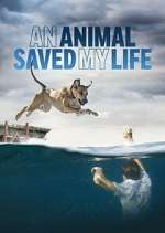 Watch An Animal Saved My Life Wootly