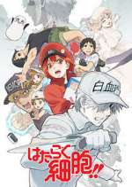 Watch Cells at Work! Wootly