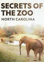 Watch Secrets of the Zoo: North Carolina Wootly