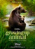 Watch Growing Up Animal Wootly