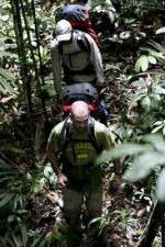 Watch Walking The Amazon Wootly