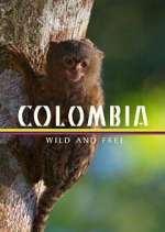 Watch Colombia: Wild and Free Wootly
