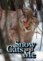 Watch Snow Cats and Me Wootly