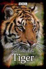 Watch Lost Land of the Tiger Wootly