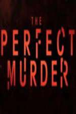 Watch The Perfect Murder Wootly