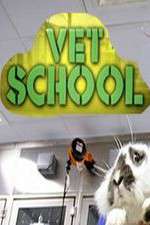 Watch Vet School Wootly