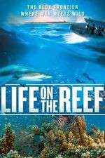 Watch Life on the Reef Wootly