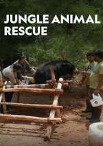 Watch Jungle Animal Rescue Wootly