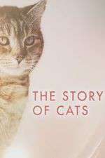 Watch The Story of Cats Wootly