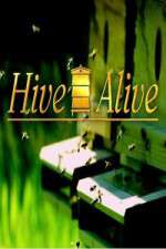 Watch Hive Alive Wootly